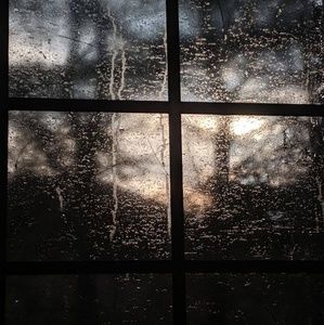 Meet your Posher, Jessie